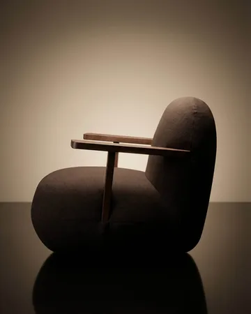 Toe chair nojatuoli käsinojilla - Classic brown oak-dark brown - 101 Copenhagen