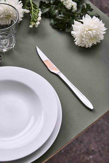 Gastro-pihviveitsi - Ruostumaton teräs - Aida