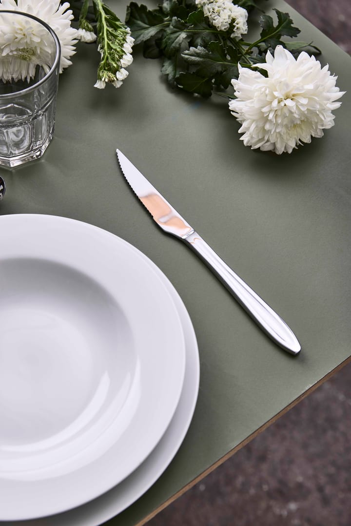 Gastro-pihviveitsi, Ruostumaton teräs Aida