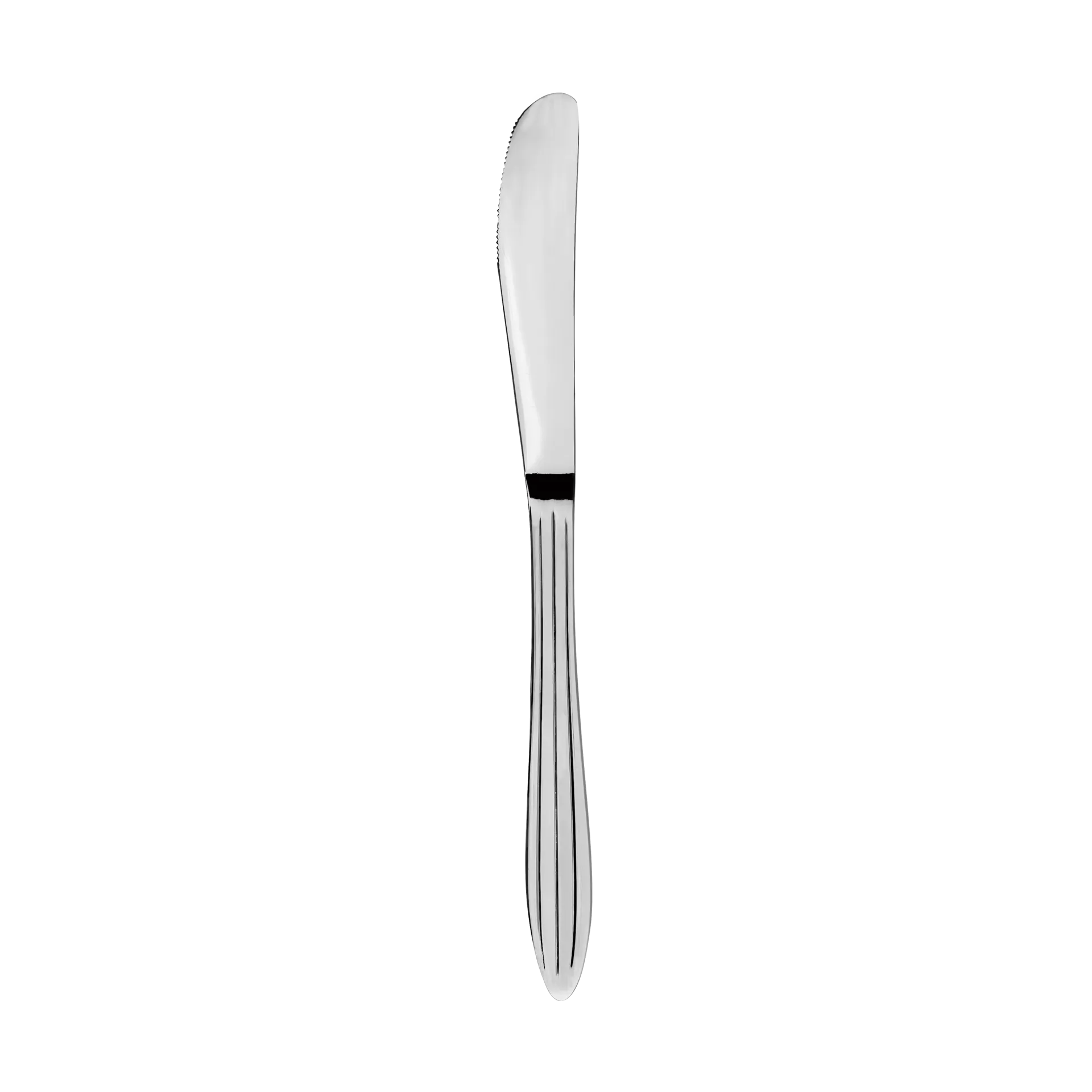 Gastro veitsi, Ruostumaton teräs Aida