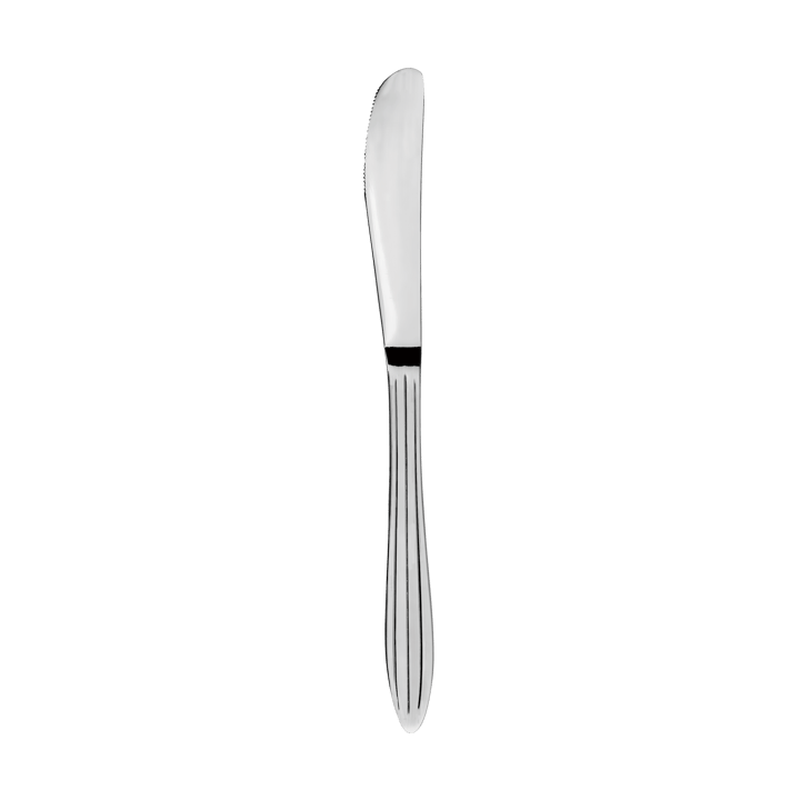 Gastro veitsi - Ruostumaton teräs - Aida