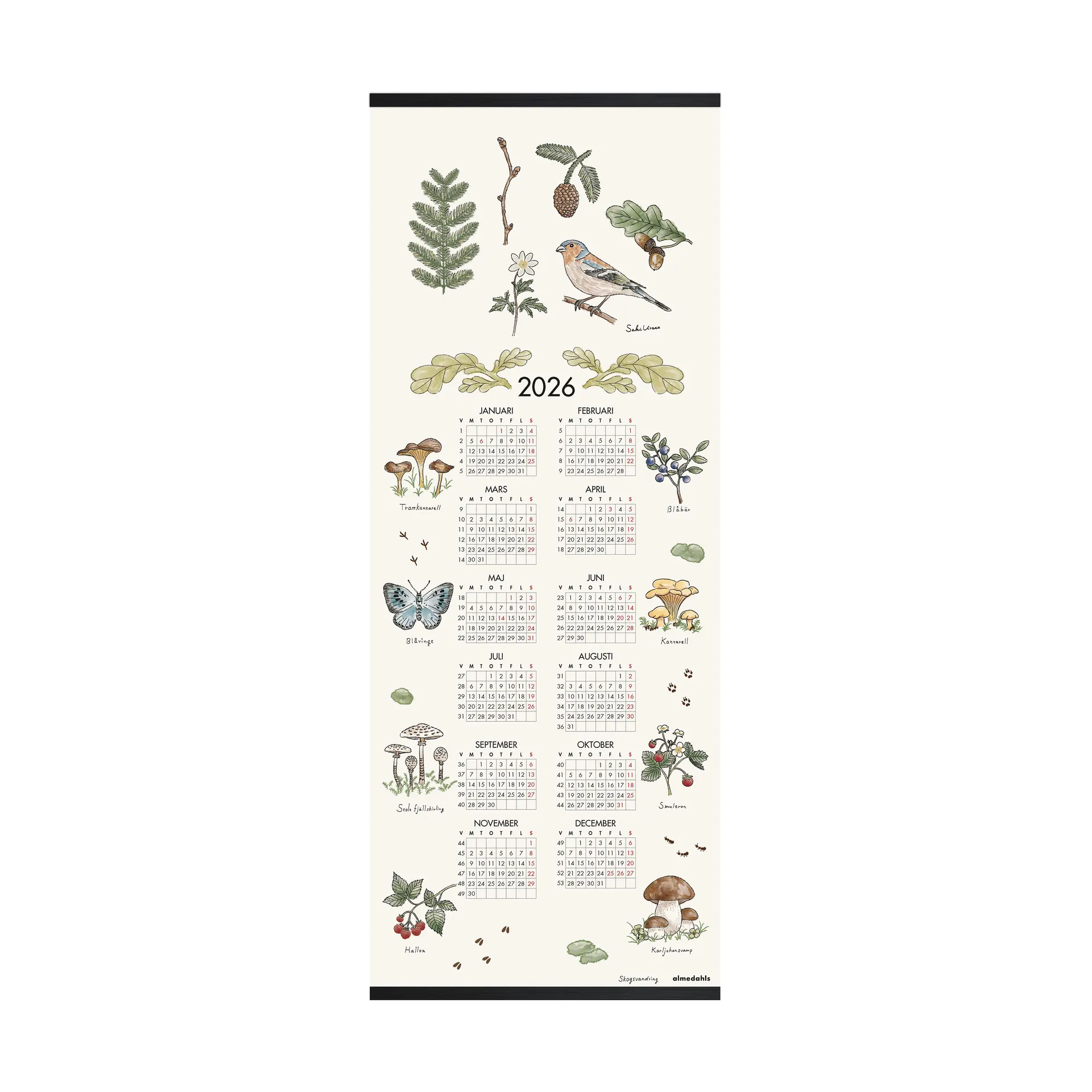 Metsäkävely kalenteri 2026, 35 x 90 cm Almedahls