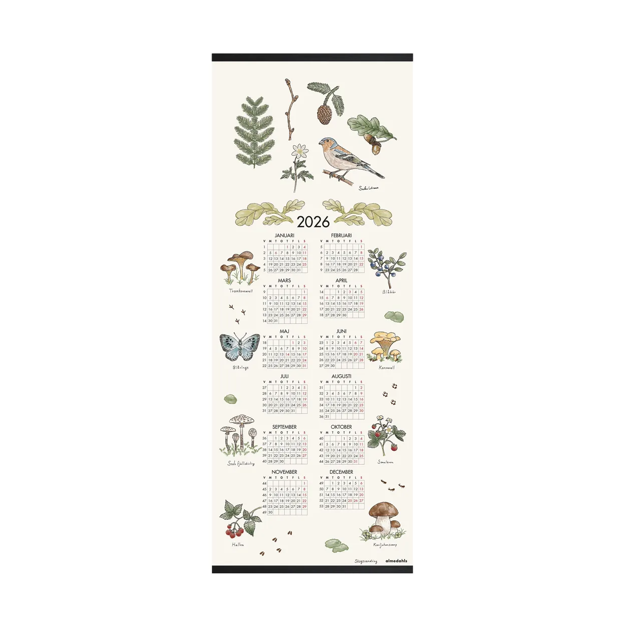 Almedahls Metsäkävely kalenteri 2026 35 x 90 cm
