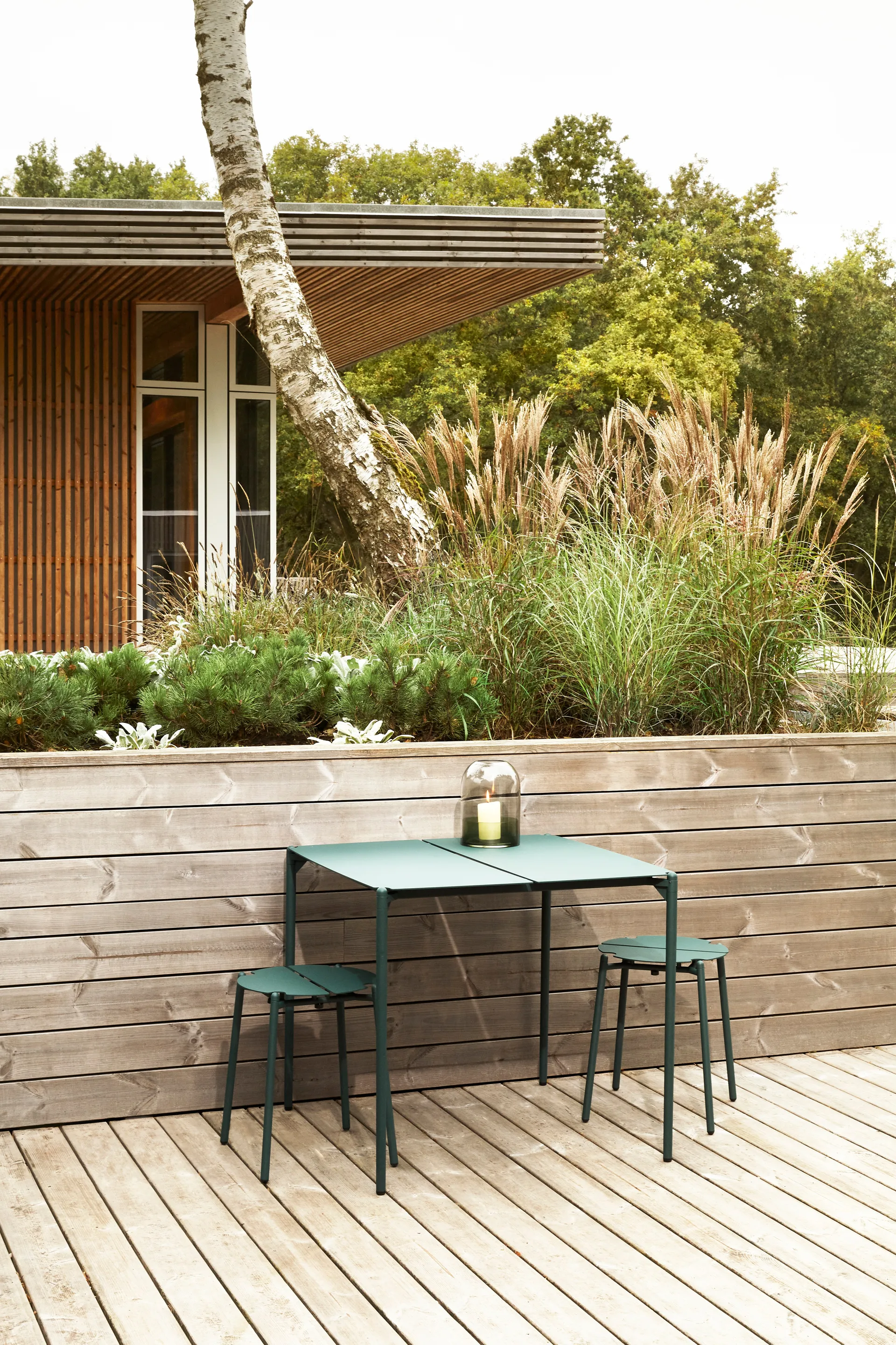 NOVO jakkara, forest AYTM