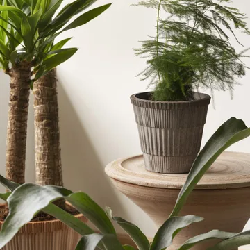 Atlas raw ruukku aluslautasella - Grey, Ø16 cm - Bergs Potter