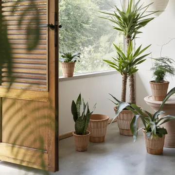 Atlas raw ruukku aluslautasella - Rosa, Ø25 cm - Bergs Potter