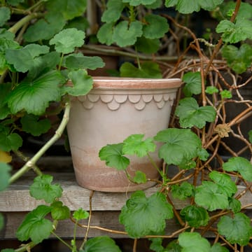 Copenhagen ruukku Ø16 cm - Vaaleanpunainen - Bergs Potter