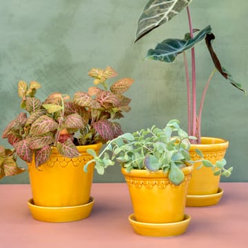 Copenhagen ruukku lasitettu Ø16 cm - Keltainen - Bergs Potter
