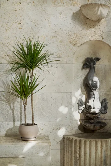 Delphi ruukku aluslautasella 2 osaa - Grey, Ø24 cm, matala - Bergs Potter