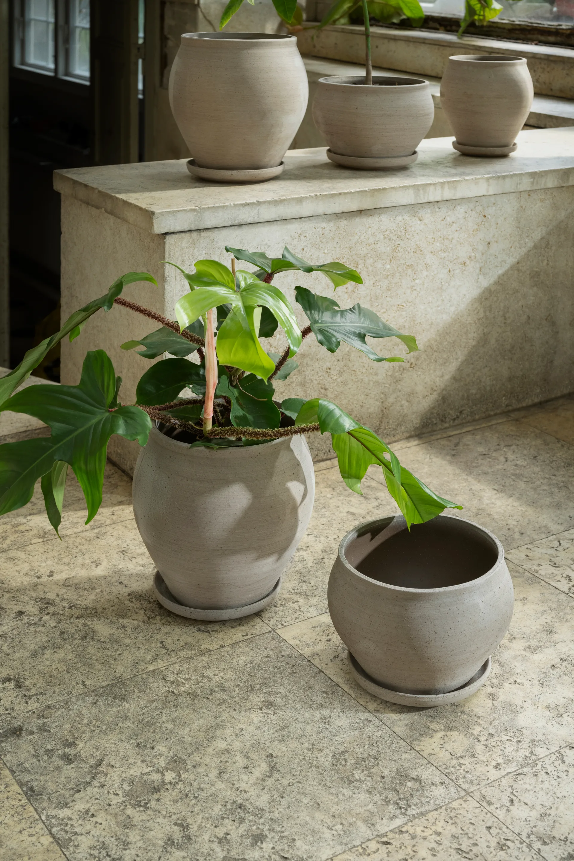 Delphi ruukku aluslautasella 2 osaa, Grey, Ø24 cm, matala Bergs Potter