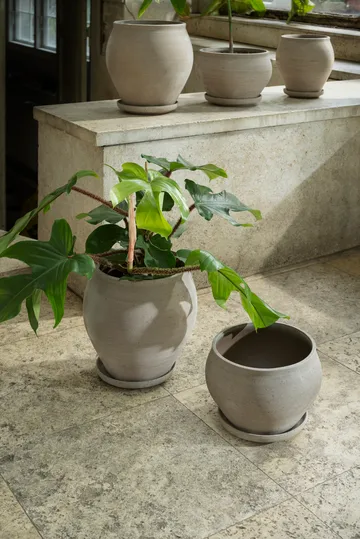 Delphi ruukku aluslautasella 2 osaa - Grey, Ø24 cm, matala - Bergs Potter