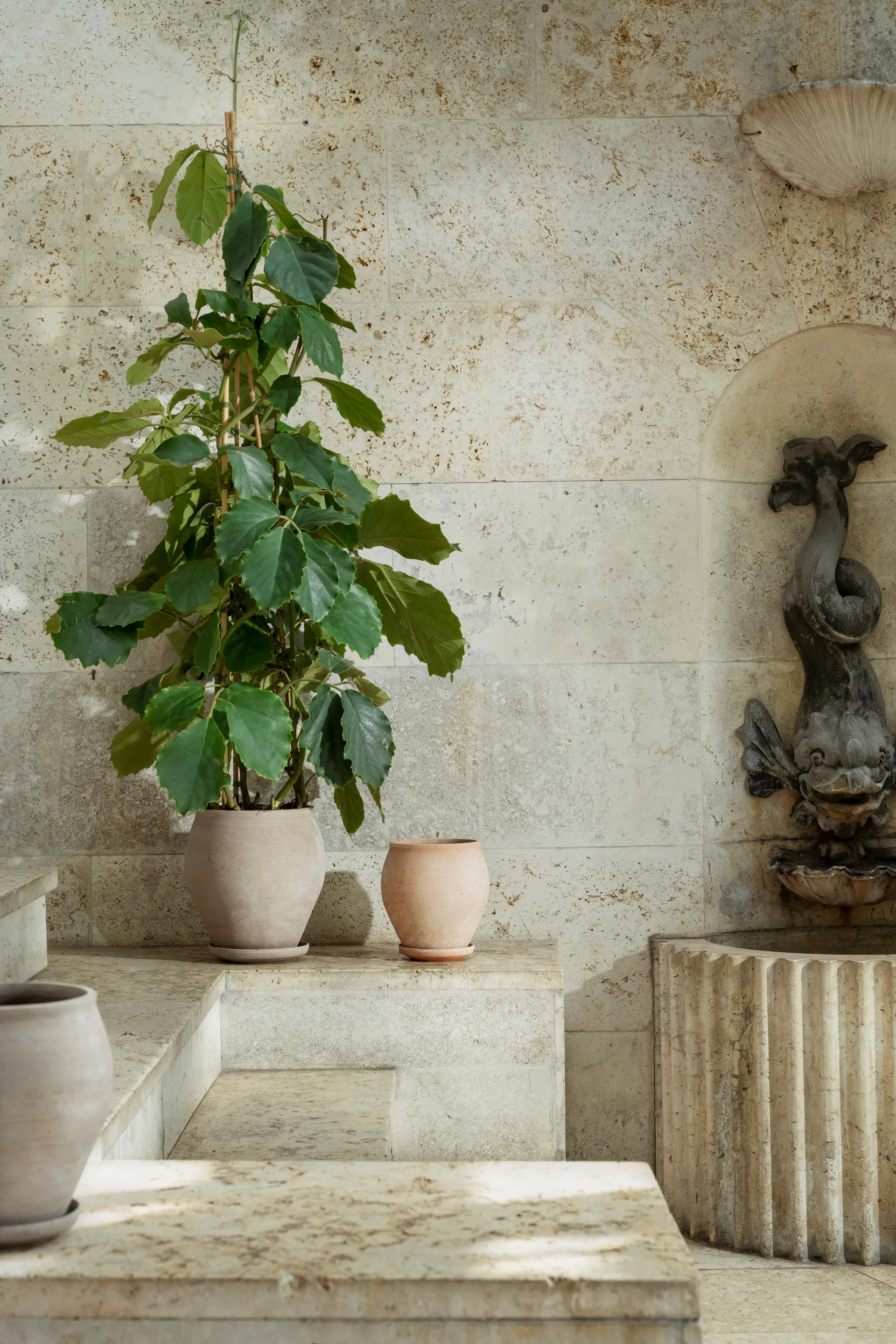 Delphi ruukku aluslautasella 2 osaa, Grey, Ø26 cm Bergs Potter