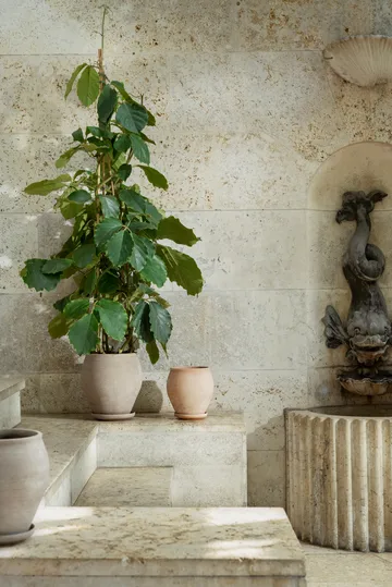 Delphi ruukku aluslautasella 2 osaa - Grey, Ø26 cm - Bergs Potter