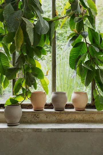 Delphi ruukku aluslautasella 2 osaa - Vaaleanpunainen, Ø20 cm - Bergs Potter