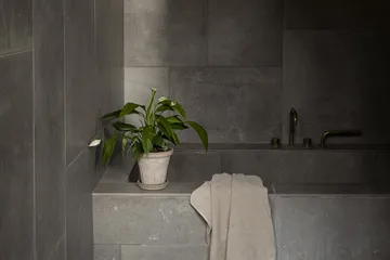 Fleur ruukku aluslautasella 2 osaa - Grey, Ø14 cm - Bergs Potter