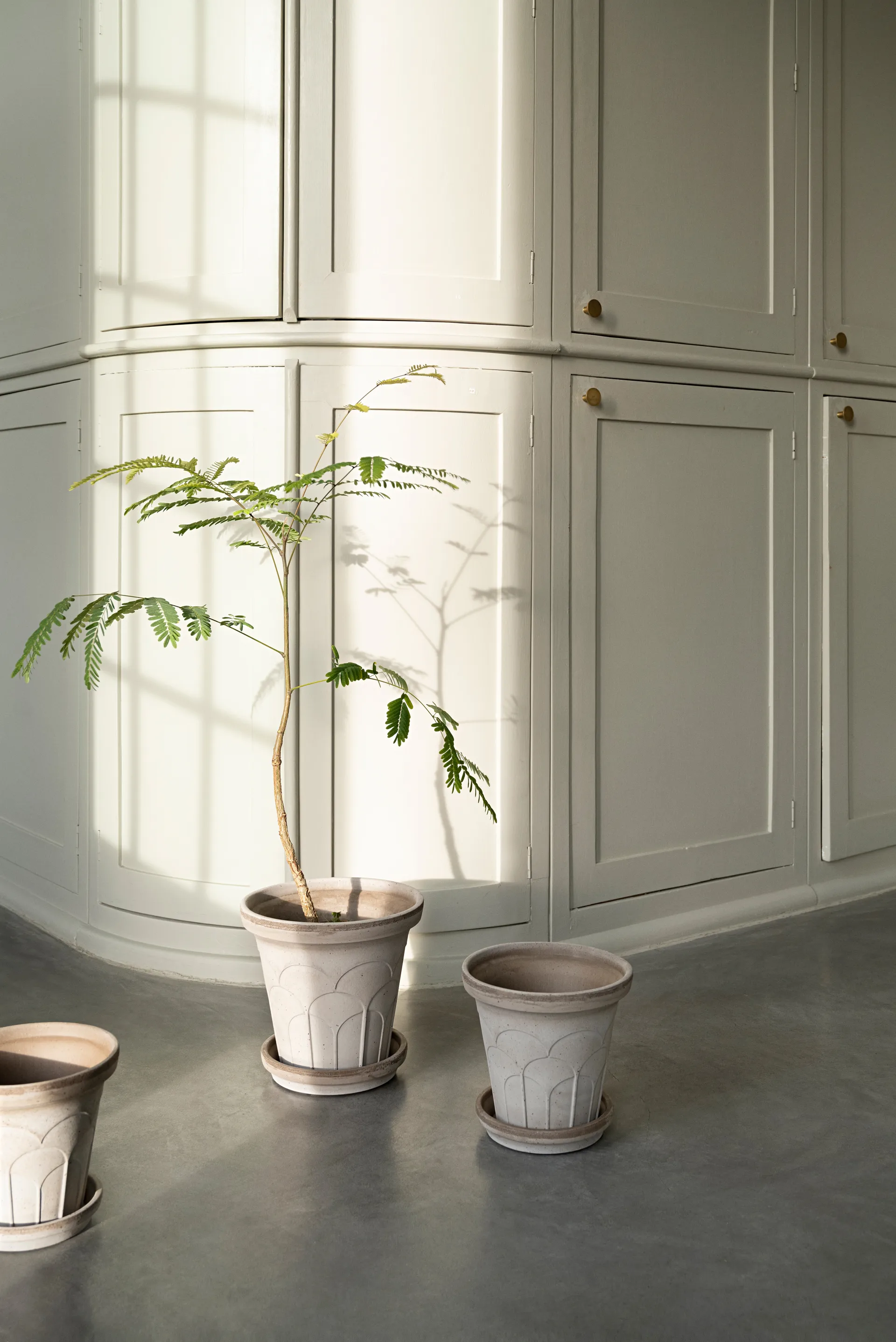 Fleur ruukku aluslautasella 2 osaa, Grey, Ø16 cm Bergs Potter