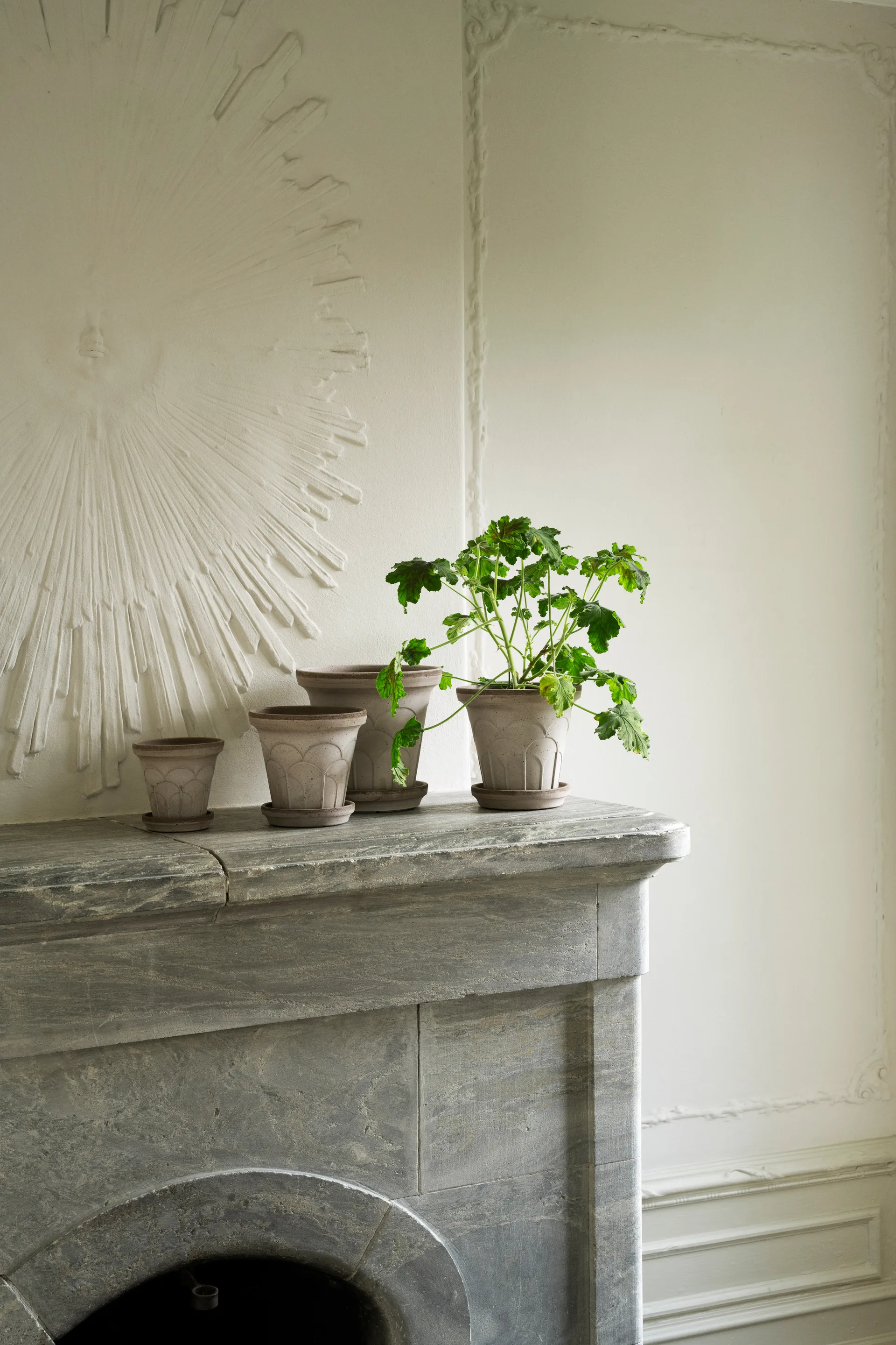 Fleur ruukku aluslautasella 2 osaa, Grey, Ø16 cm Bergs Potter