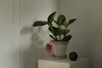 Fleur ruukku aluslautasella 2 osaa - Grey, Ø18 cm - Bergs Potter