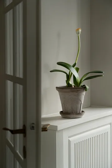 Fleur ruukku aluslautasella 2 osaa - Grey, Ø18 cm - Bergs Potter