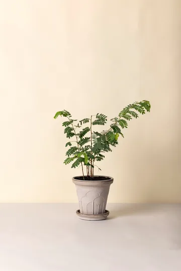 Fleur ruukku aluslautasella 2 osaa - Grey, Ø21 cm - Bergs Potter