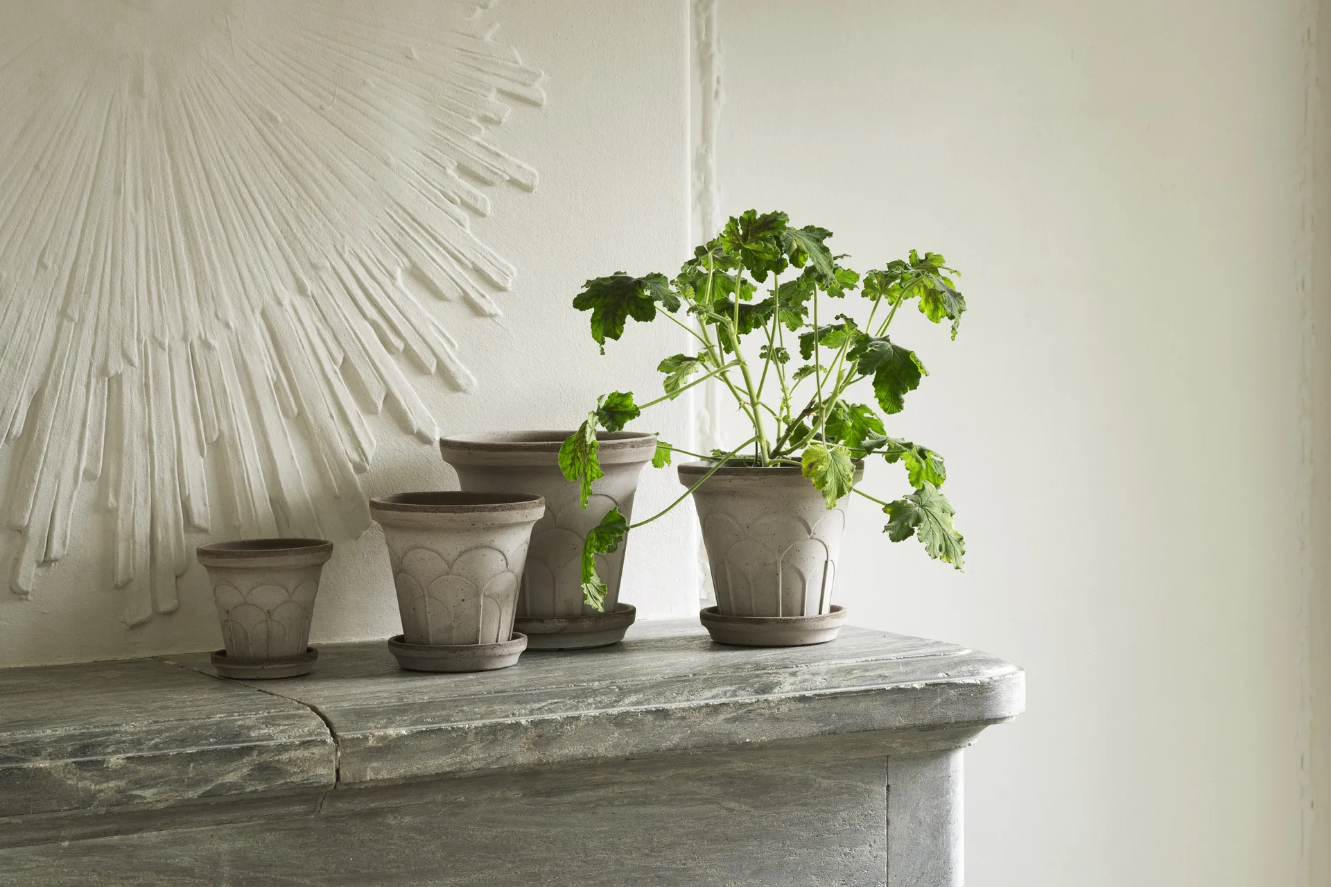 Fleur ruukku aluslautasella 2 osaa, Grey, Ø21 cm Bergs Potter