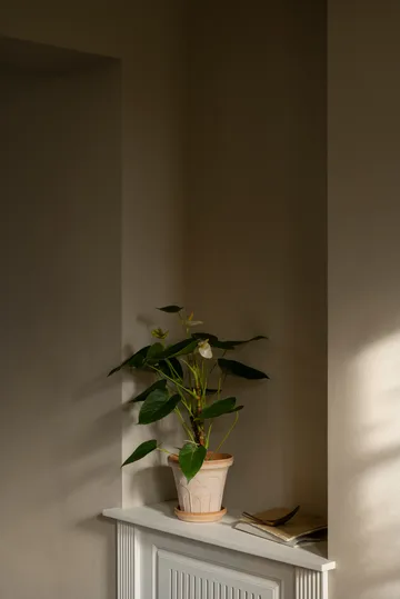 Fleur ruukku aluslautasella 2 osaa - Rosa, Ø16 cm - Bergs Potter