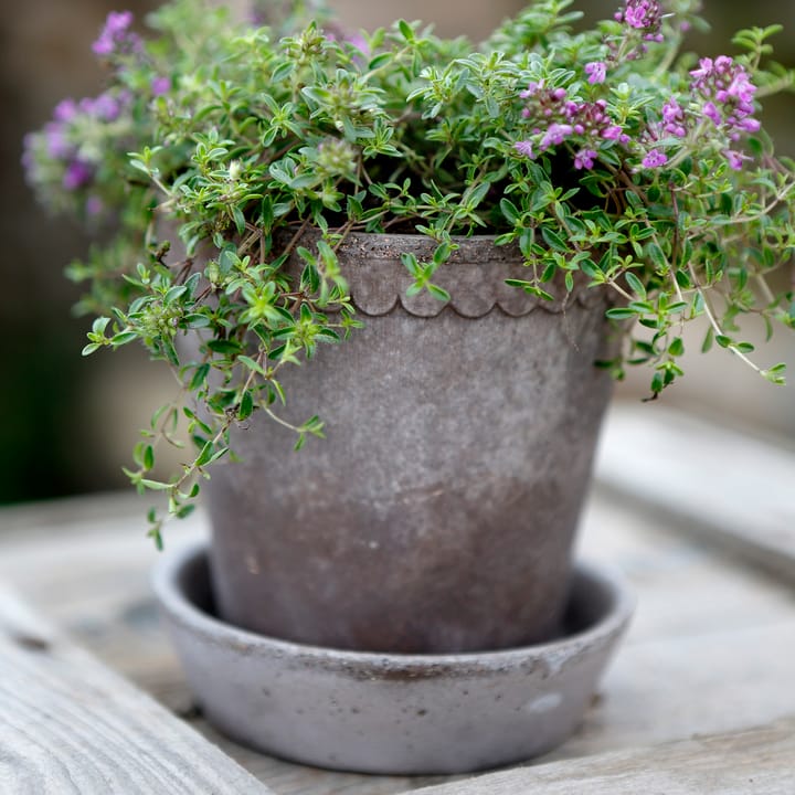 Helena ruukku Ø10 cm, Harmaa Bergs Potter
