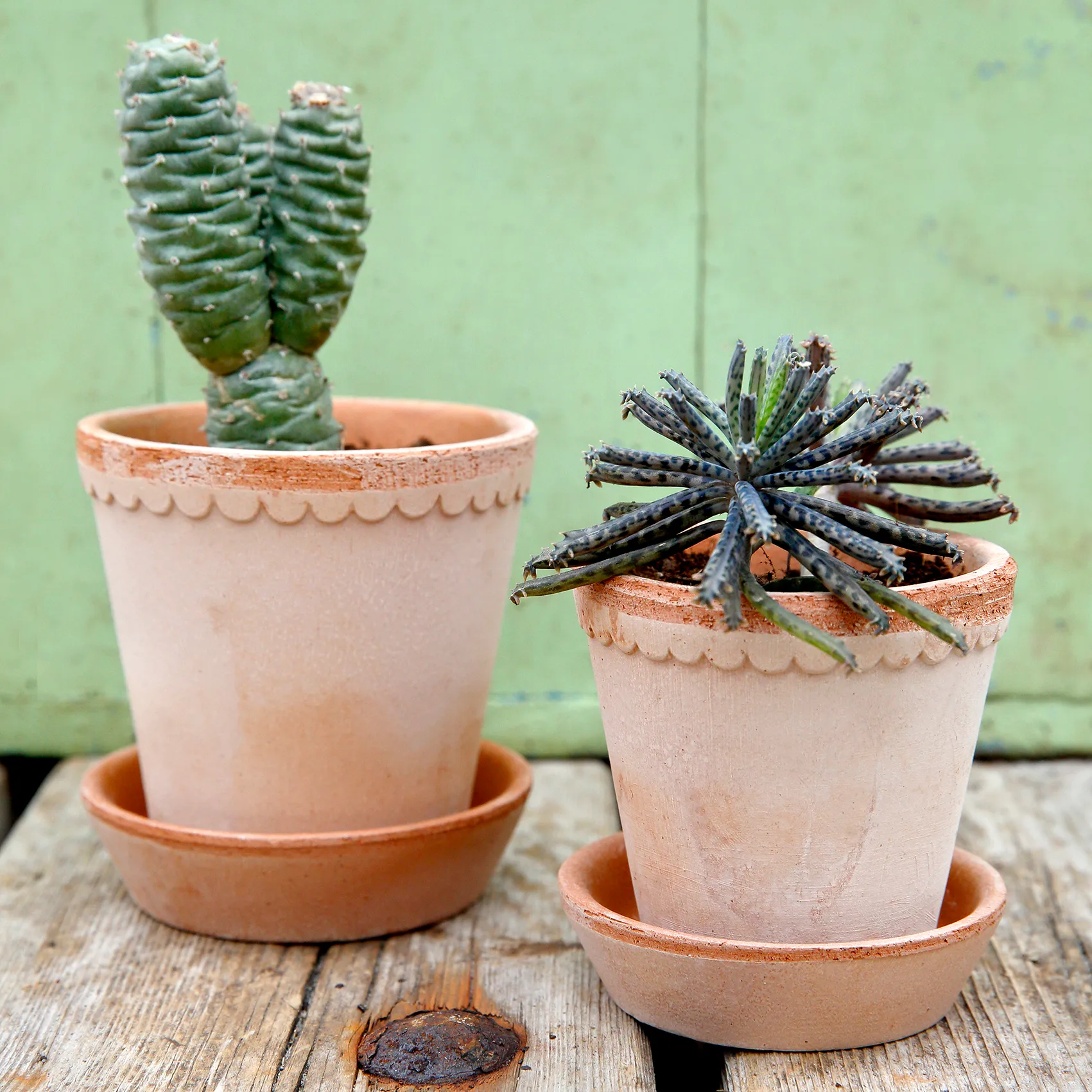 Helena ruukku Ø14 cm, Vaaleanpunainen Bergs Potter