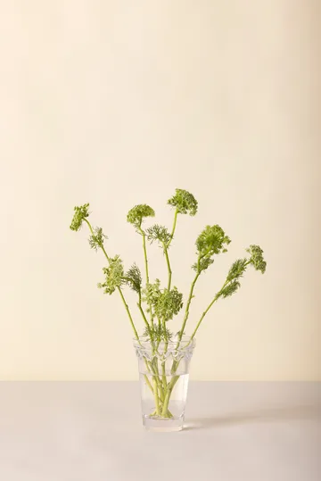 Kööpenhamina maljakko - Kirkas, 18,5 cm - Bergs Potter