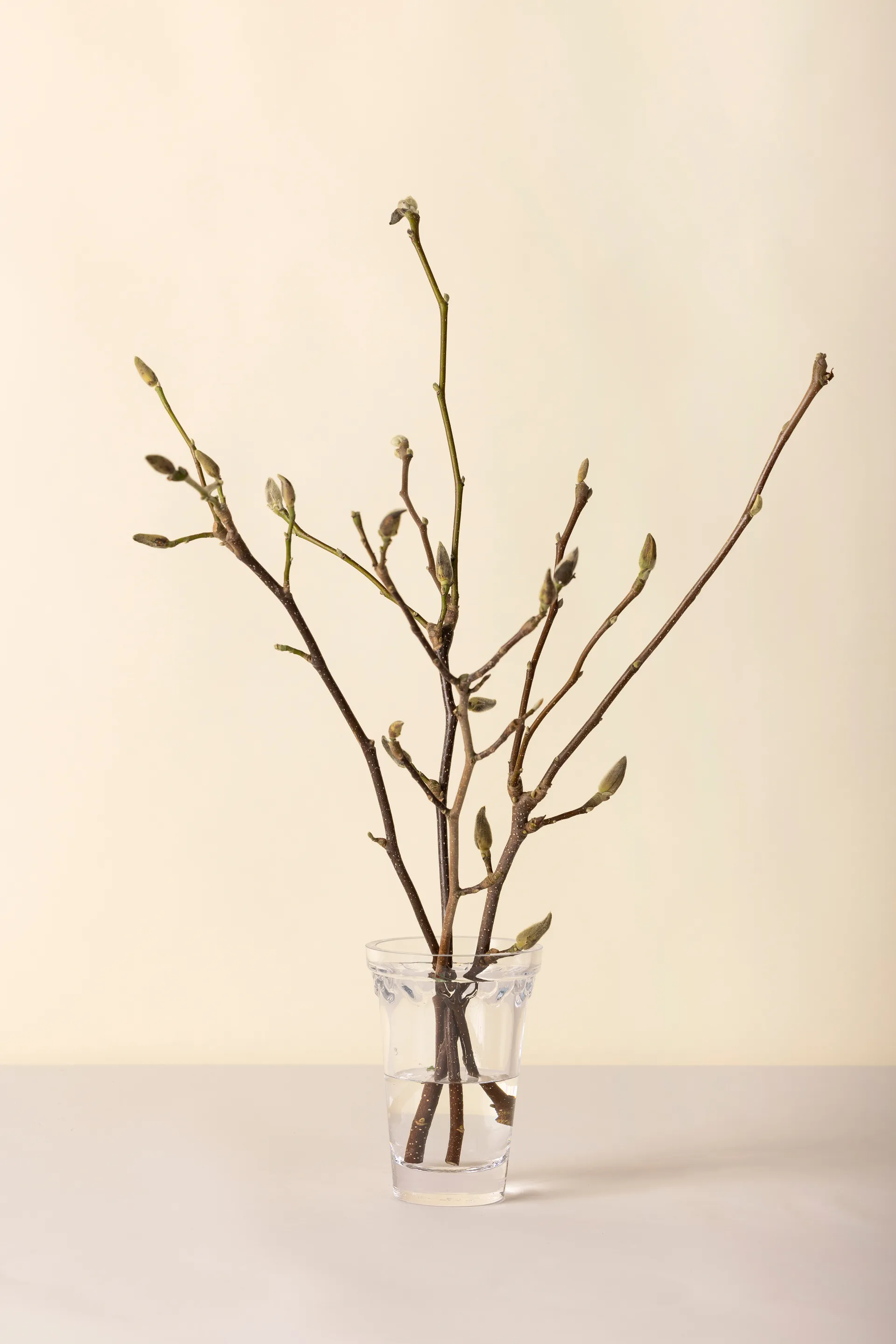 Kööpenhamina maljakko, Kirkas, 18,5 cm Bergs Potter