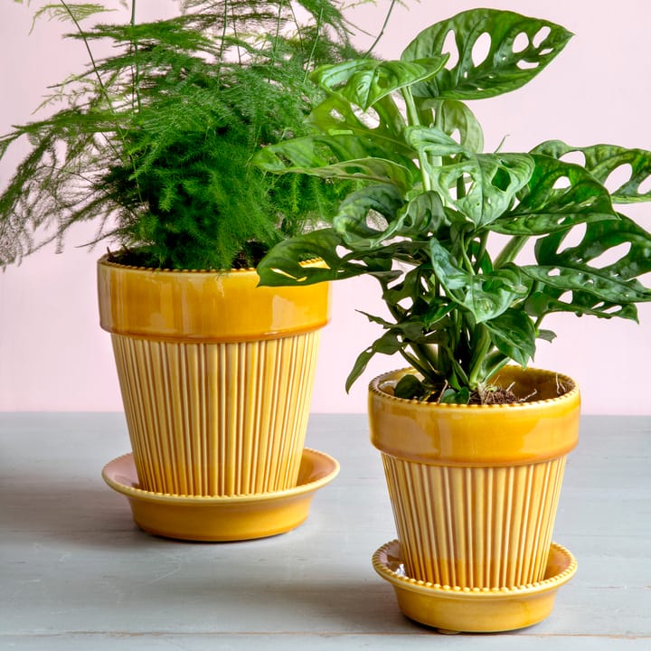 Simona ruukku lasitettu Ø14 cm, Keltainen Bergs Potter