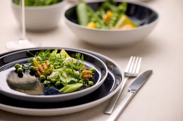 Bitz lautanen gastro Ø 21 cm - Valkoinen tummansininen - Bitz