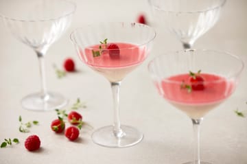 Blomsterbergs jälkiruokalasit 430 ml 4-pack. - Lasi - Blomsterbergs