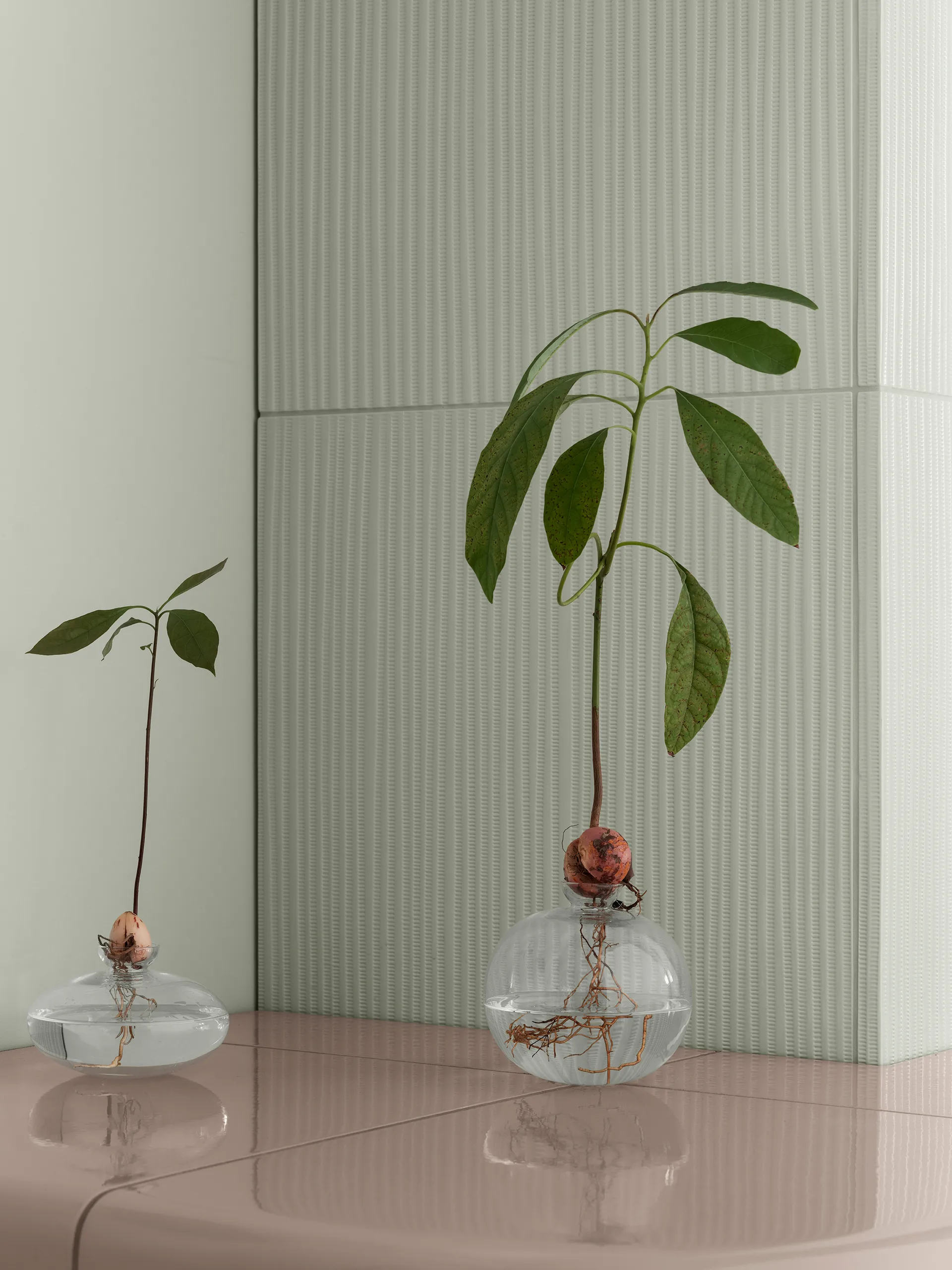 Avo maljakko 9,5 cm, Kirkas blomus