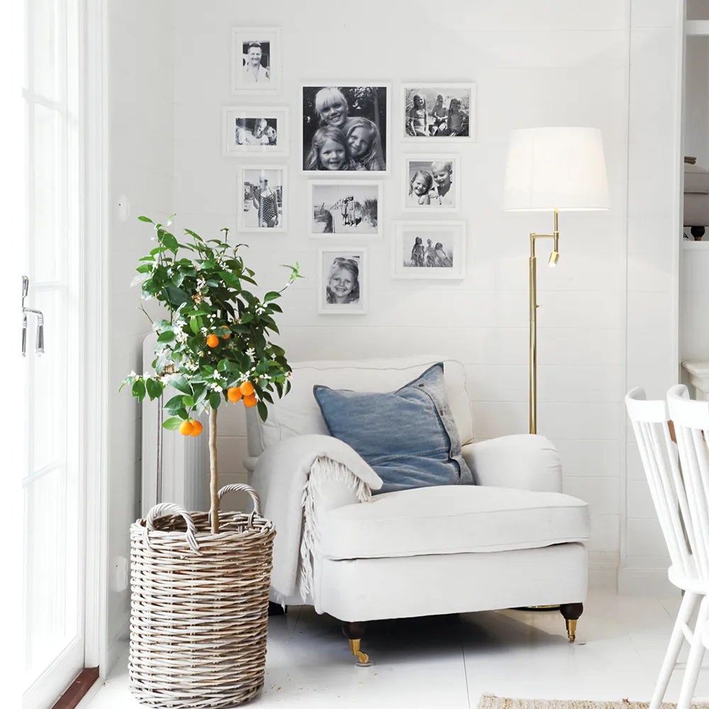 Orlando lattiavalaisin, Valkoinen, messinkirunko By Rydéns