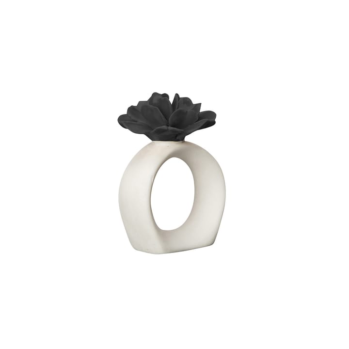 Water Lily lautasliinarengas, White-black Byon