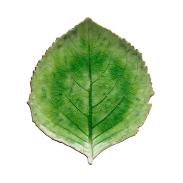 Riviera Hydrangea tarjoiluvati - Tomato, 22 cm - Costa Nova
