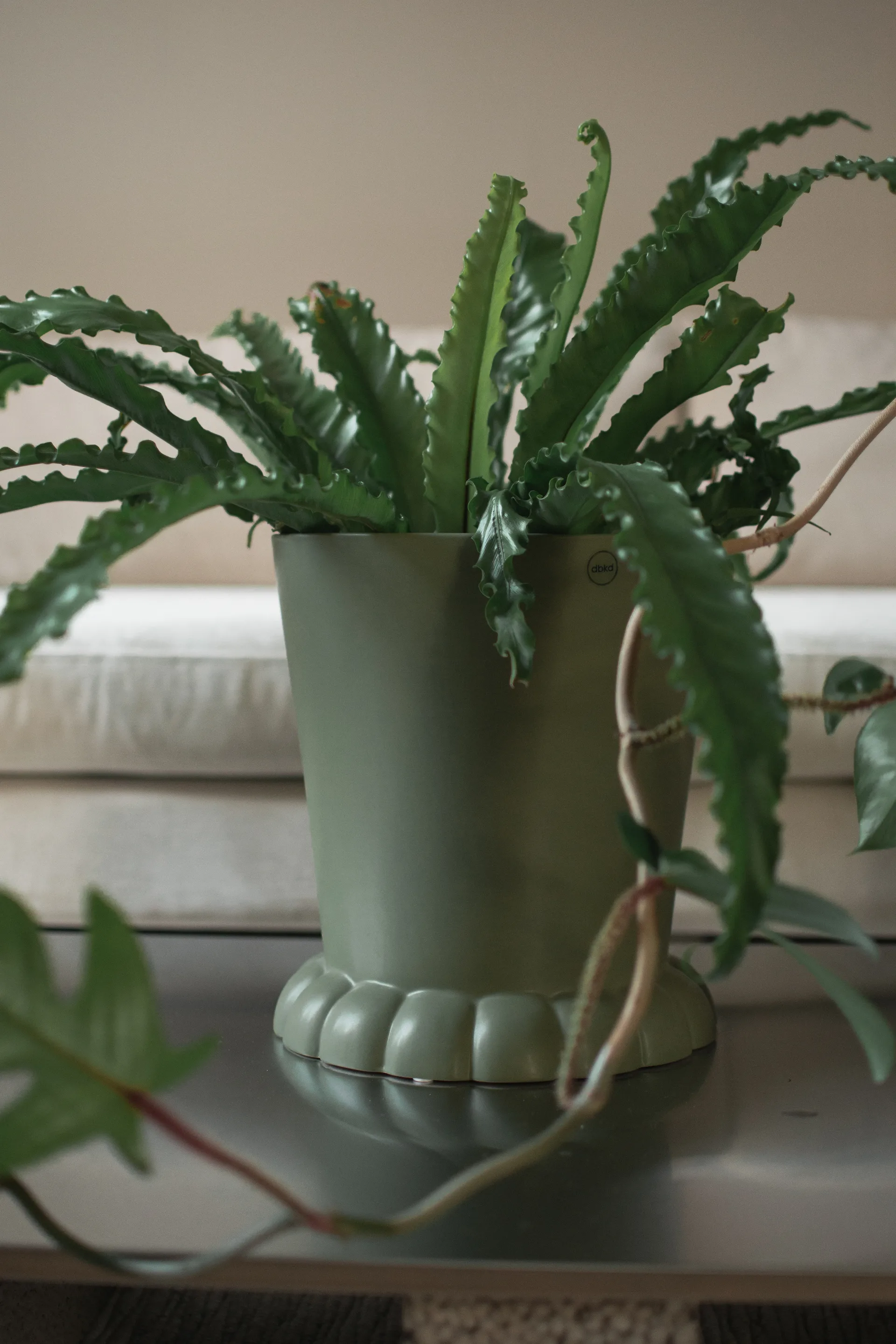 Flora ruukku Ø25 cm, Green DBKD