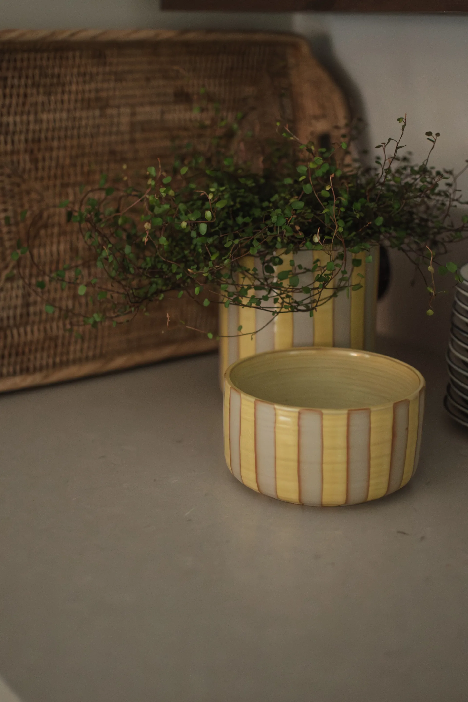 Line koristekulho Ø16 cm, Keltainen DBKD