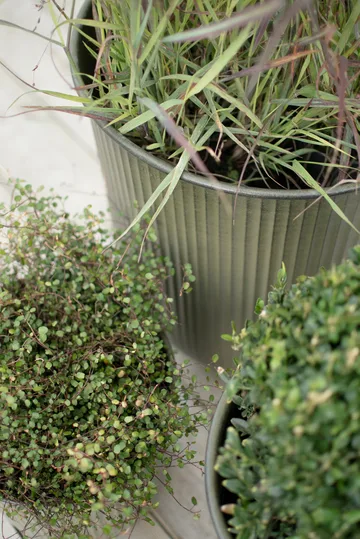 Out stripe -ruukku 3-pakkaus - Vihreä - DBKD