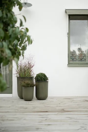 Out stripe -ruukku 3-pakkaus - Vihreä - DBKD