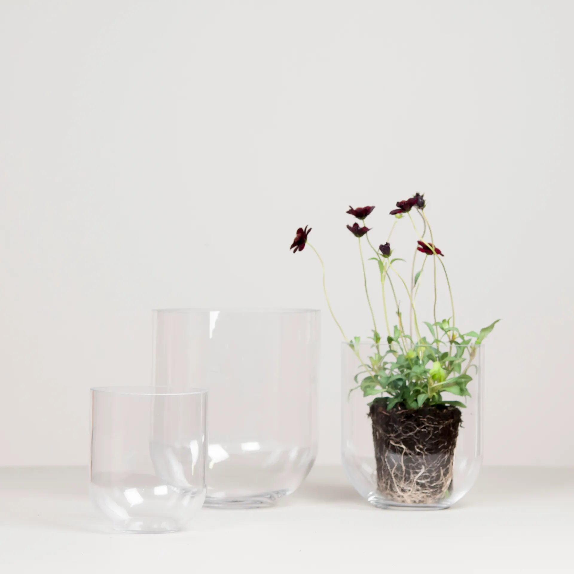 Simple lasimaljakko large, Clear DBKD