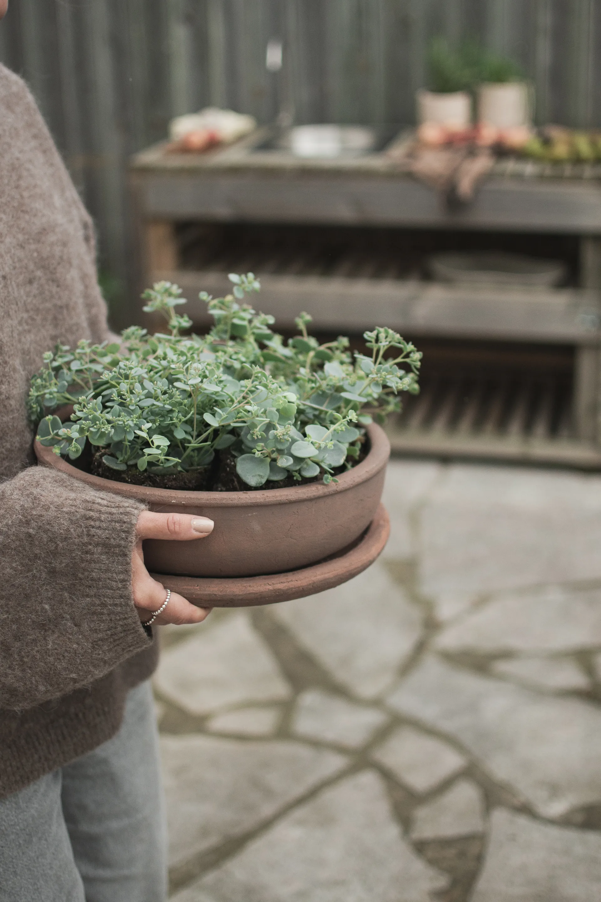 Terra bowl ruukku, Ruskea, Ø30×10,5 cm DBKD