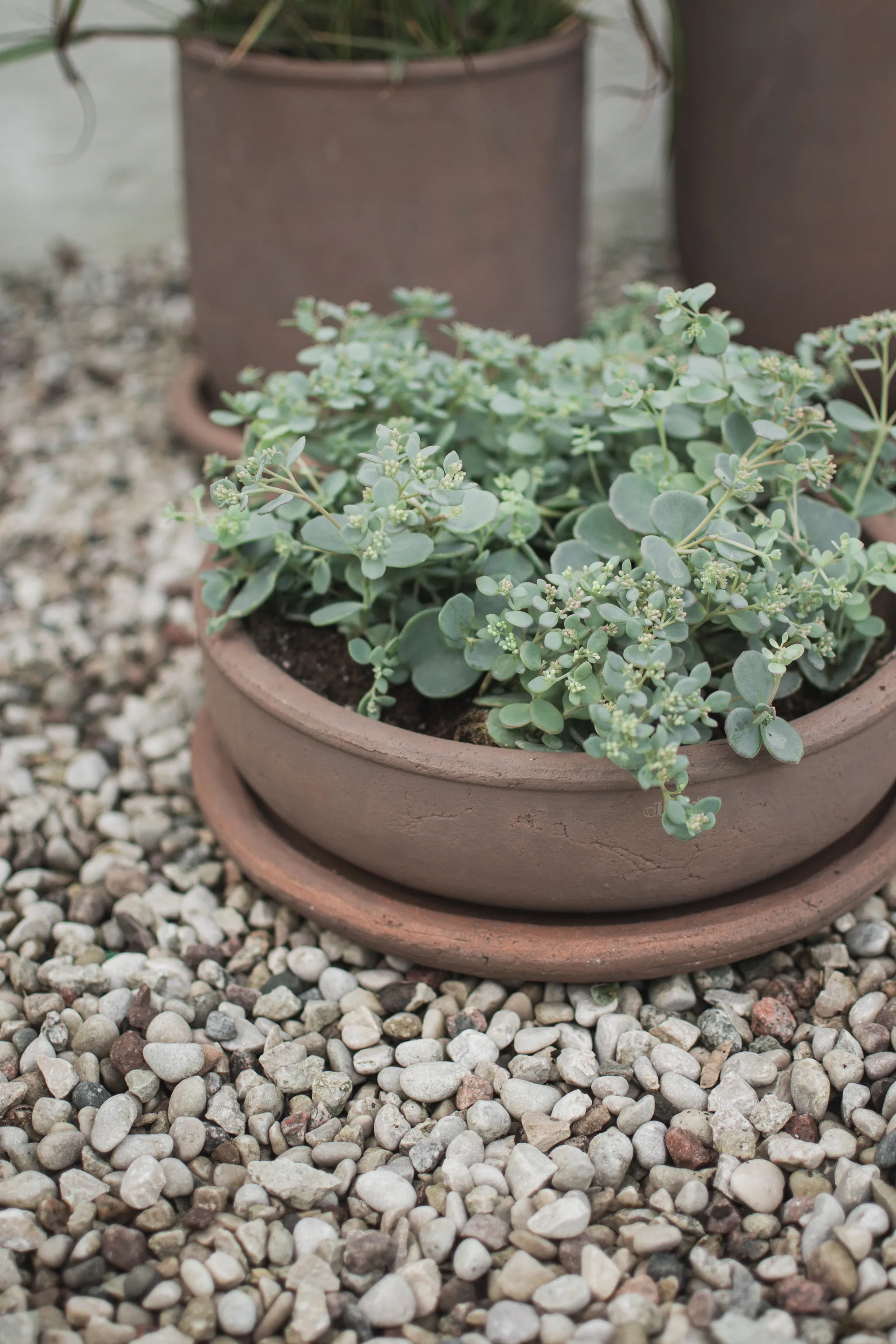 Terra bowl ruukku, Ruskea, Ø30×10,5 cm DBKD