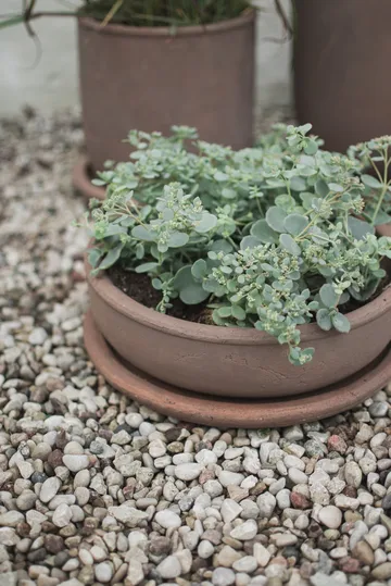 Terra bowl ruukku - Ruskea, Ø30×10,5 cm - DBKD