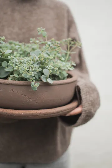 Terra bowl ruukku - Ruskea, Ø30×10,5 cm - DBKD