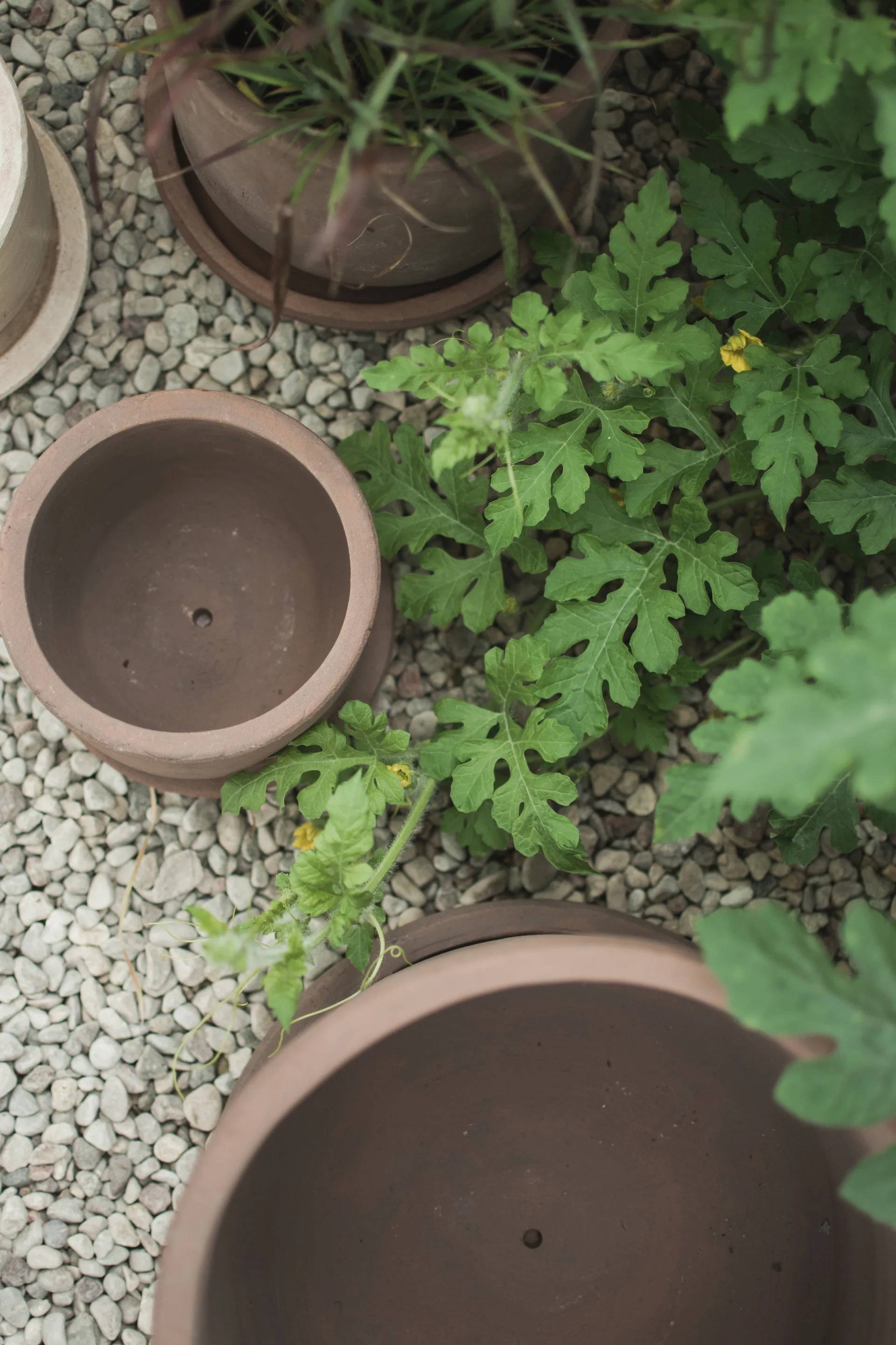 Terra ruukku, Brown, Ø33×36 cm DBKD