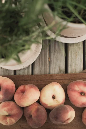 Terra ruukku - Hiekka, Ø16×16 cm - DBKD