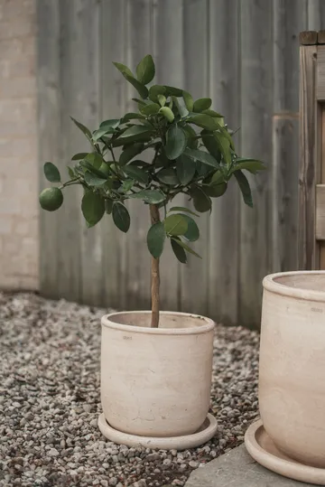 Terra ruukku - Hiekka, Ø23×26 cm - DBKD