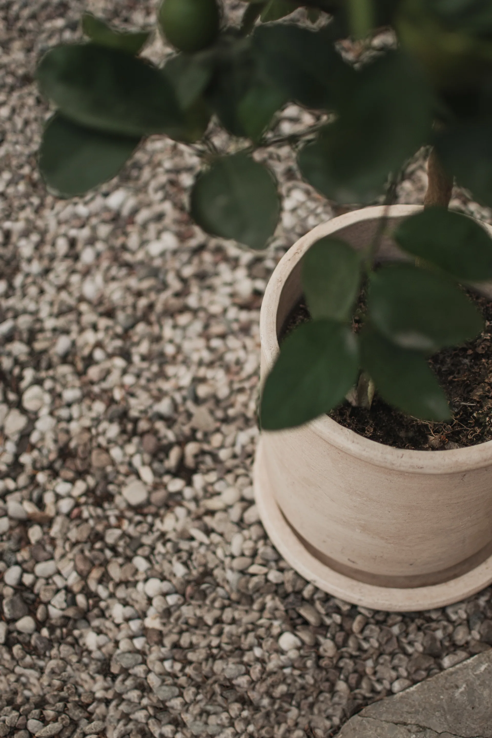 Terra ruukku, Hiekka, Ø23×26 cm DBKD